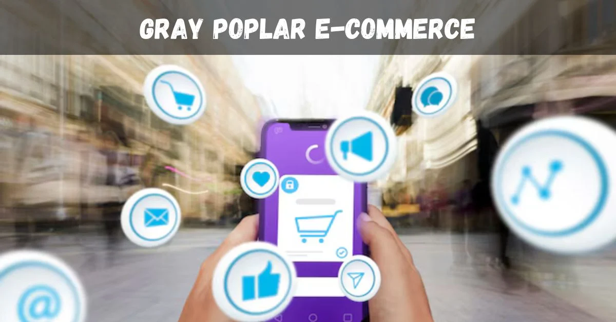 Gray Poplar E-Commerce: Innovation in Online Trade