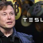 Why did Tesla and SpaceX boldly go where DOGE did not?